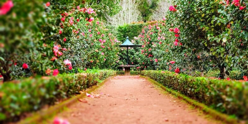 Landscaping