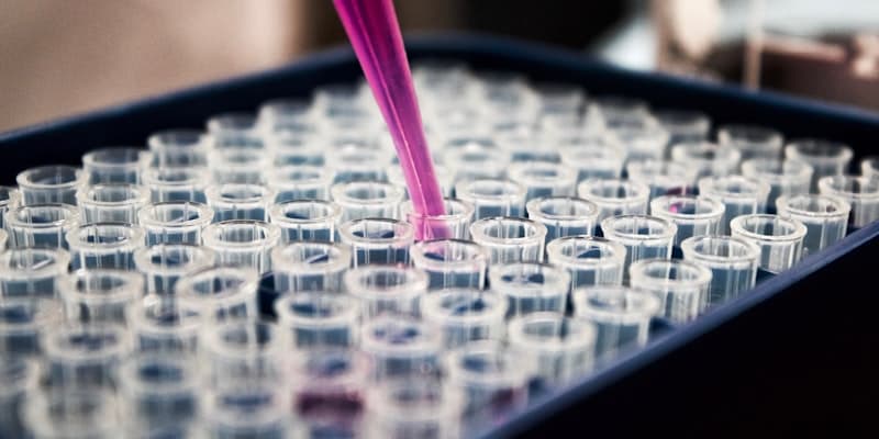 Science & Research